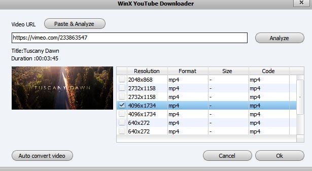 Winx Youtube Downloader Paste and Analyze