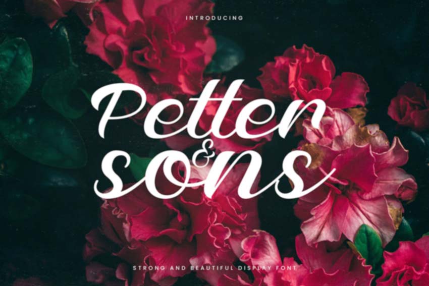 Petter And Sons