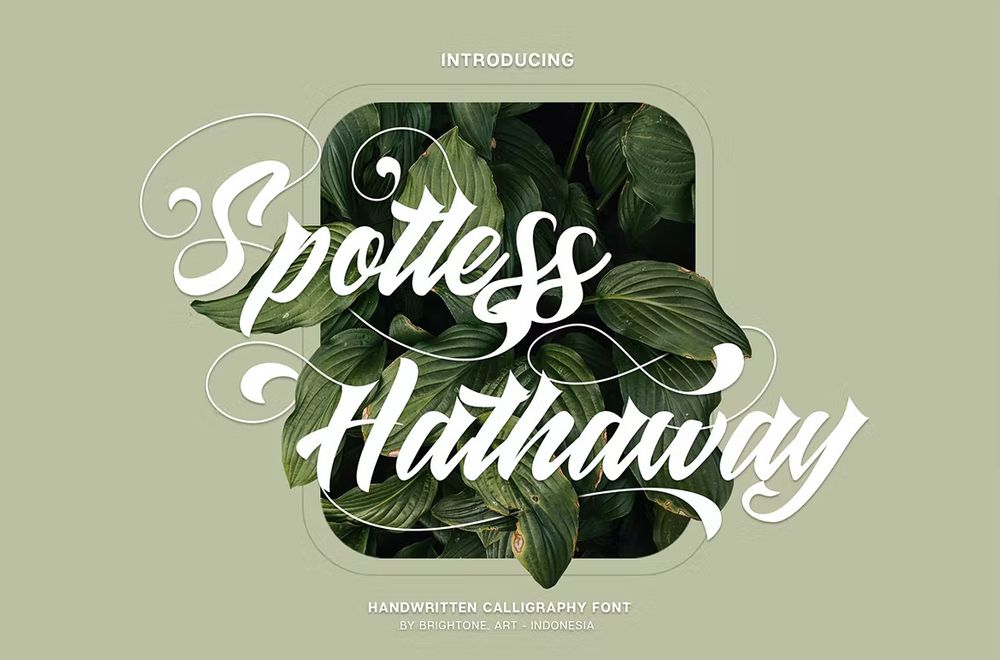 spotless-hattaway-calligraphy