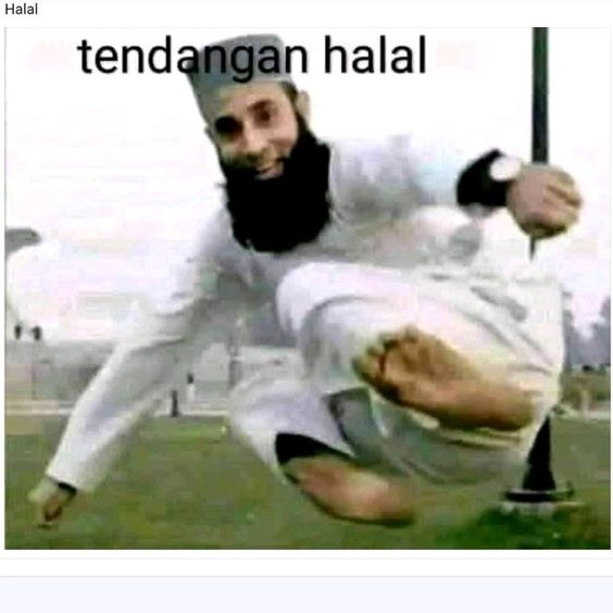 105. PP Meme Halal